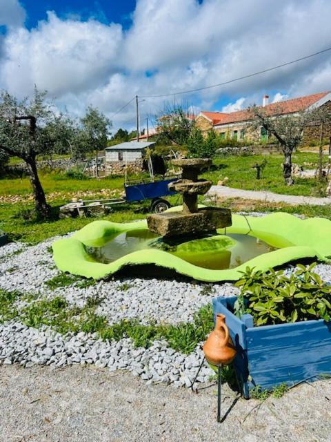 Zion Jardim Monsanto住宿加早餐旅馆 外观 照片