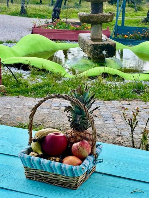 Zion Jardim Monsanto住宿加早餐旅馆 外观 照片