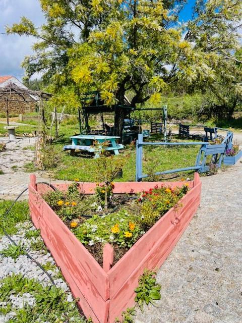 Zion Jardim Monsanto住宿加早餐旅馆 外观 照片