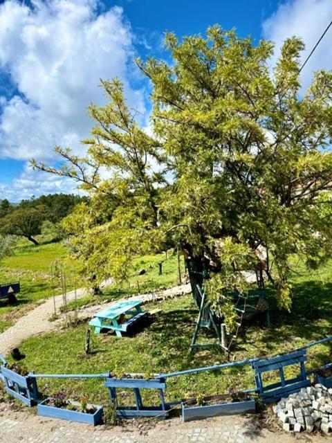 Zion Jardim Monsanto住宿加早餐旅馆 外观 照片