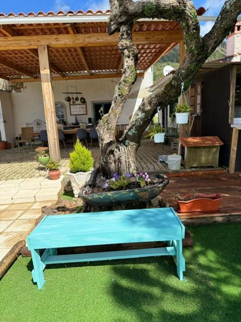 Zion Jardim Monsanto住宿加早餐旅馆 外观 照片