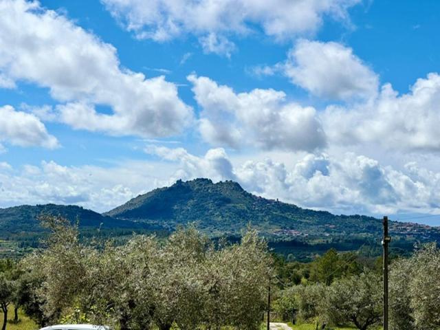 Zion Jardim Monsanto住宿加早餐旅馆 外观 照片