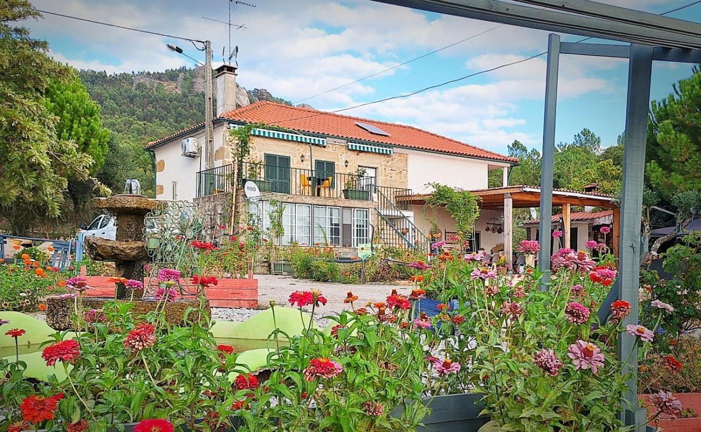 Zion Jardim Monsanto住宿加早餐旅馆 外观 照片