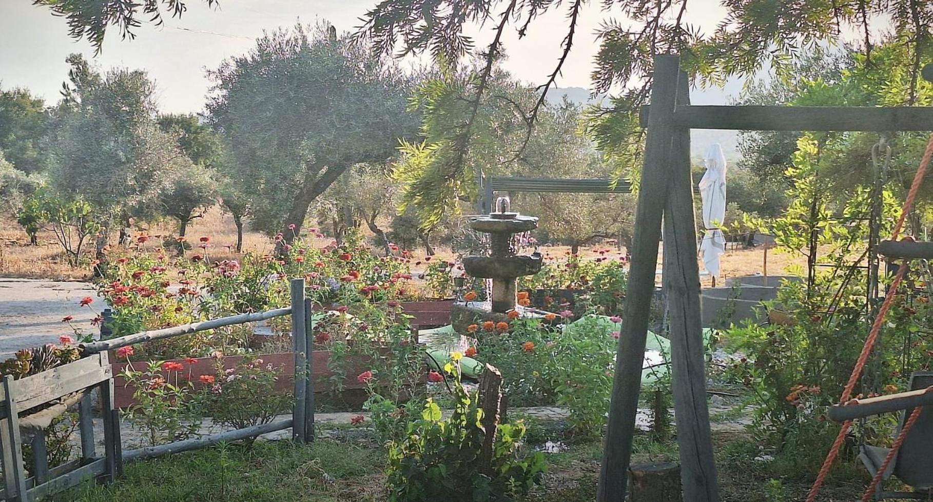 Zion Jardim Monsanto住宿加早餐旅馆 外观 照片